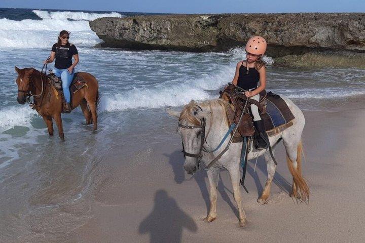 Aruba Countryside: Hesteeventyr til Urirama Cove