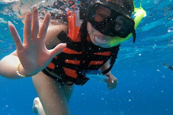 Excursion de plongée en apnée partagée à la plage d'El Cielo à Cozumel