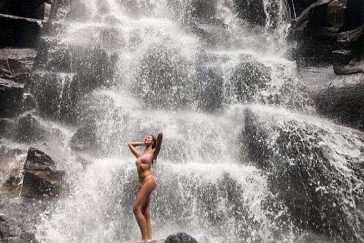 Ubud Highlights Customized Full-Day Private Tour