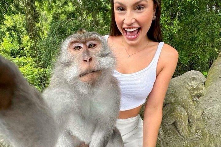 Ubud Highlights Customized Full-Day Private Tour