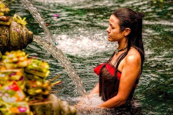 Ubud Highlights Customized Full-Day Private Tour