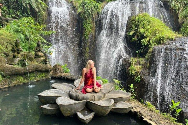 Ubud Highlights Customized Full-Day Private Tour