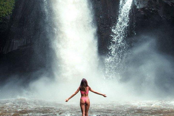 Ubud Highlights Customized Full-Day Private Tour