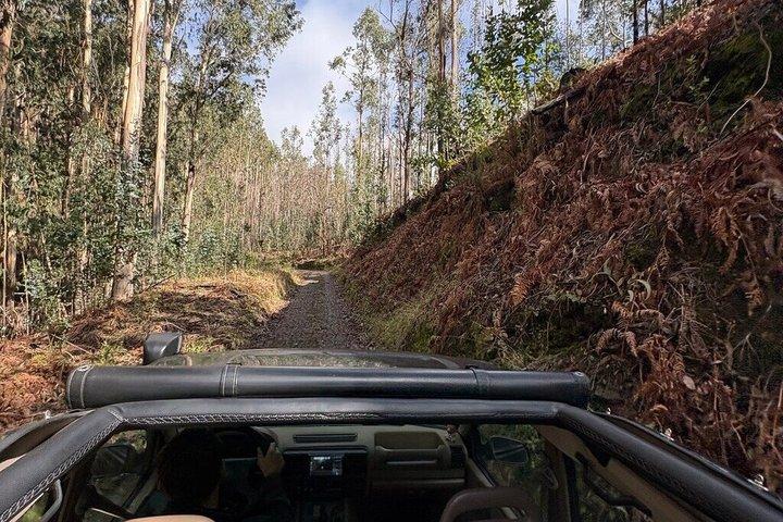 Excursion d'une journée à l'ouest de l'île de Madère - Toit ouvert
