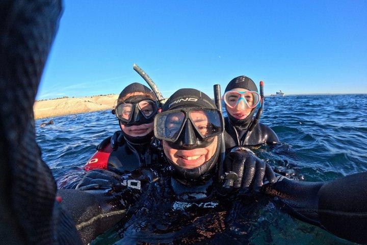 Snorkeling con leones marinos