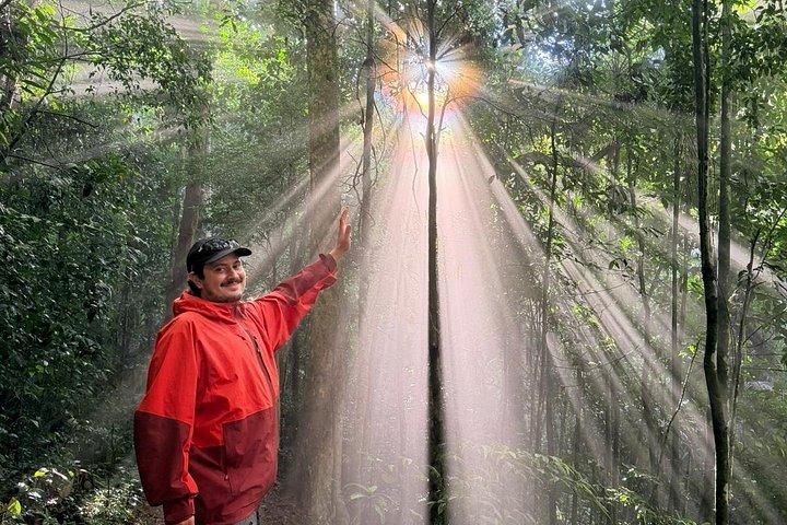 Rio : Tijuca Rainforest Hike, Vida Silvestre, Cataratas e Cavernas
