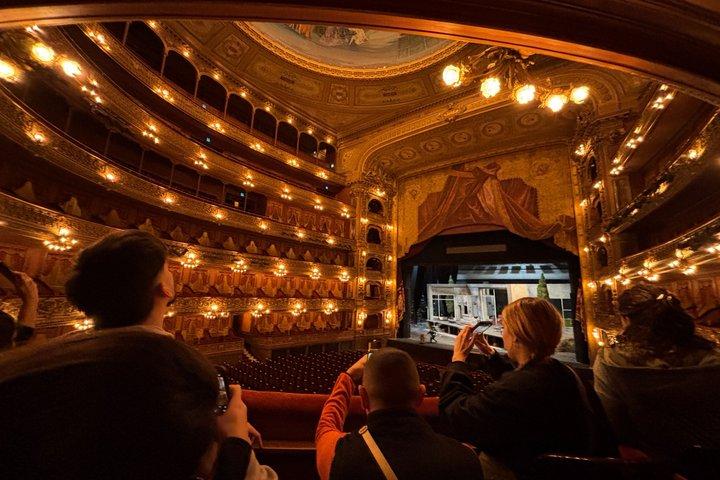 Inträdesbiljett till Teatro Colon guidad tur