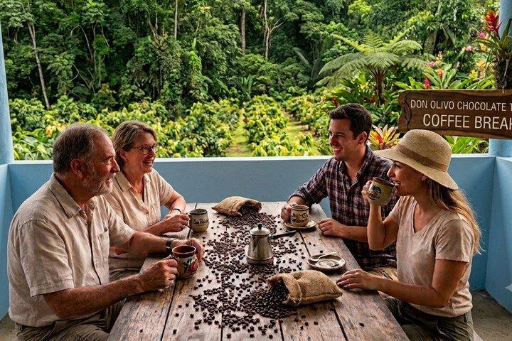 Tour de chocolate Don Olivo