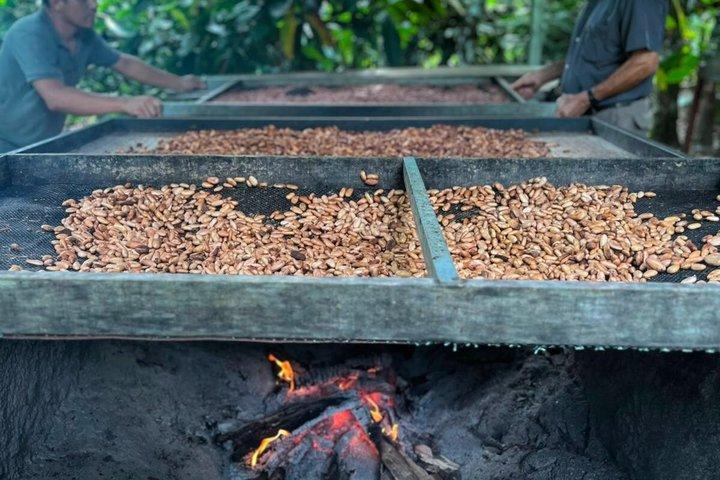 Tour de chocolate Don Olivo