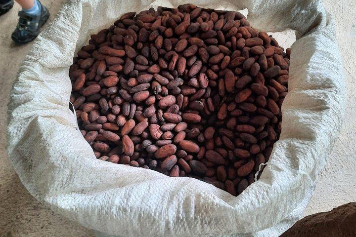 Tour de chocolate Don Olivo