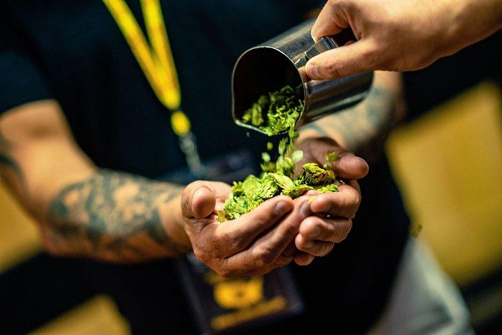 Phoenix Brewery Tour: 12 Beer Tasters & VIP Access at 3 Breweries
