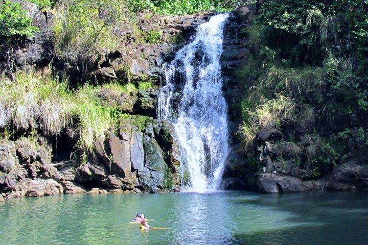 Oahu North Shore Fun : Cascada de Waimea & Snorkeling de tortugas