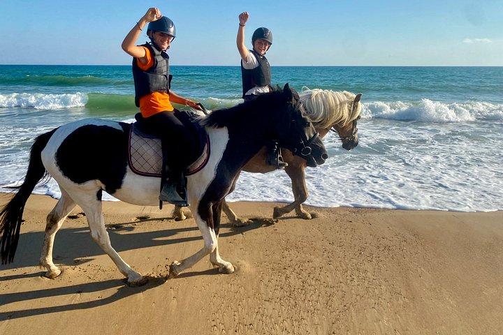 Tour privato a cavallo e sulla spiaggia di Kourouta da Katakolo