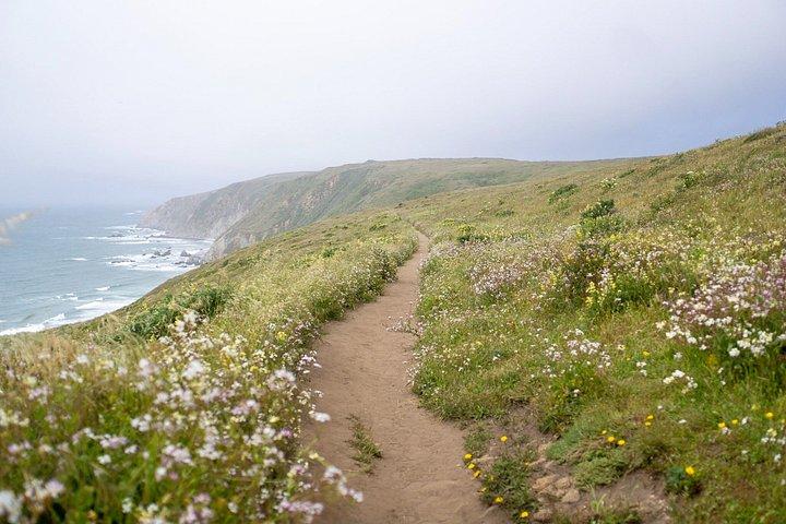 Muir Woods and California Cliffs