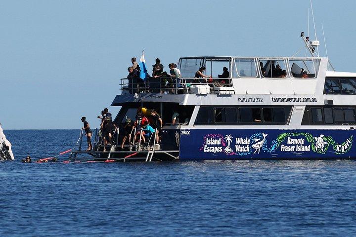 Remote K'gari (Fraser Island) & Whale Experience
