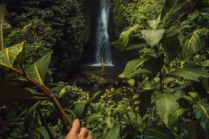 Cascate nascoste di Bali (privato e all-inclusive)