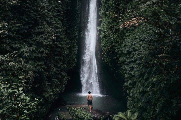 Cascate nascoste di Bali (privato e all-inclusive)