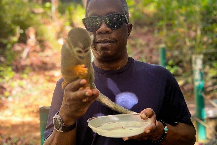 Puerto Plata: Combo Shore Excursion Monkey & Damajagua Waterfalls