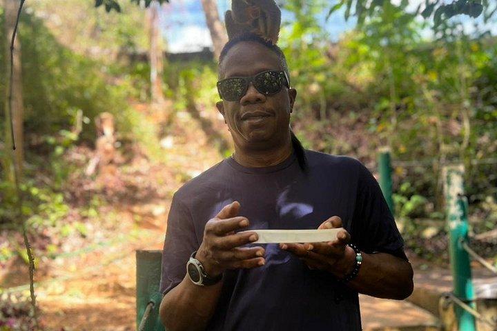 Puerto Plata: Combo Shore Excursion Monkey & Damajagua Waterfalls