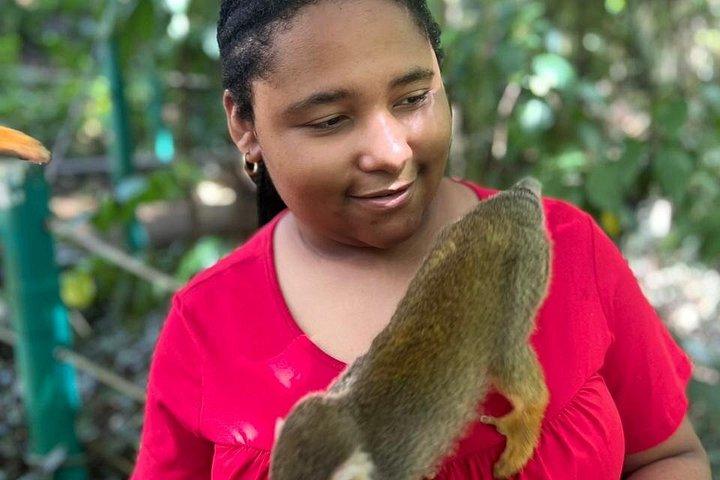 Puerto Plata: Combo Shore Excursion Monkey & Damajagua Waterfalls