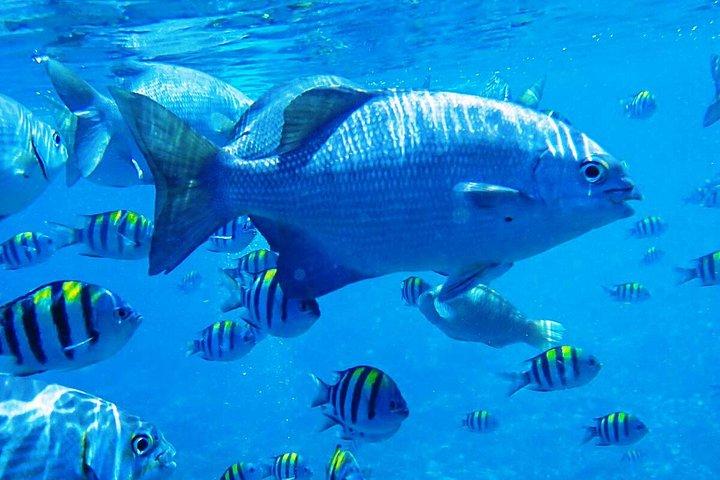 プライベート14日-バリ島とインドネシア家族の休日