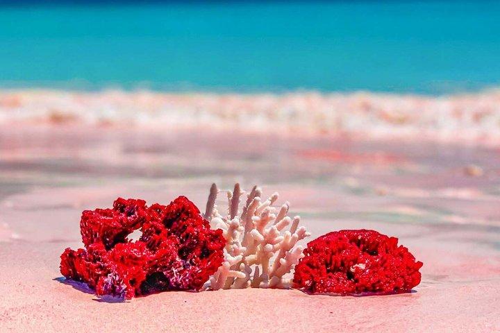 プライベート14日-バリ島とインドネシア家族の休日