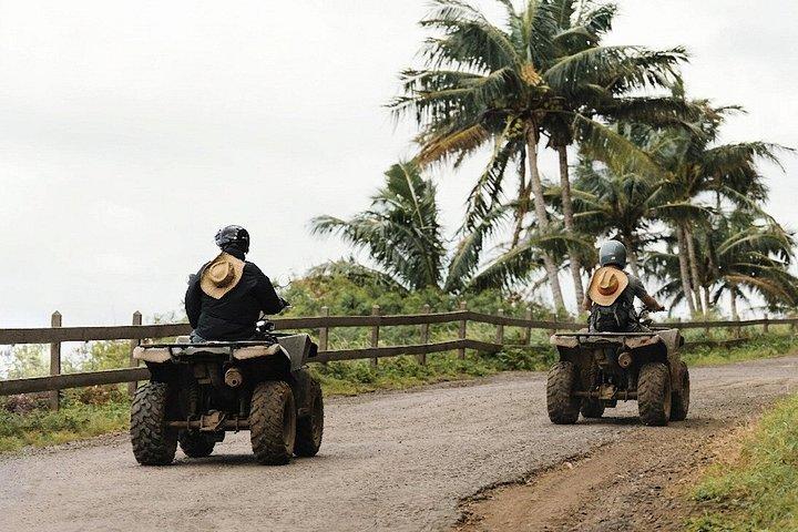 Excursion privée en quad jusqu'à la cascade El Limón avec déjeuner