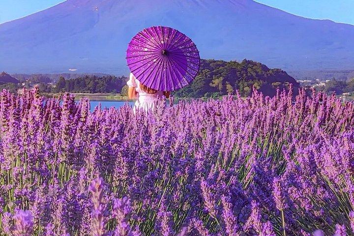 Mt. Fuji,Saiko Iyashi-no-Sato Nenba&Kawaguchi Lake