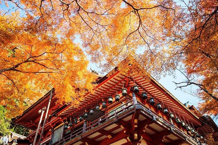 秋の奈良公園東大寺赤目の滝など大阪から