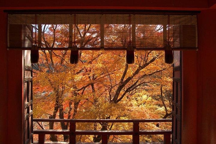 秋の奈良公園東大寺赤目の滝など大阪から