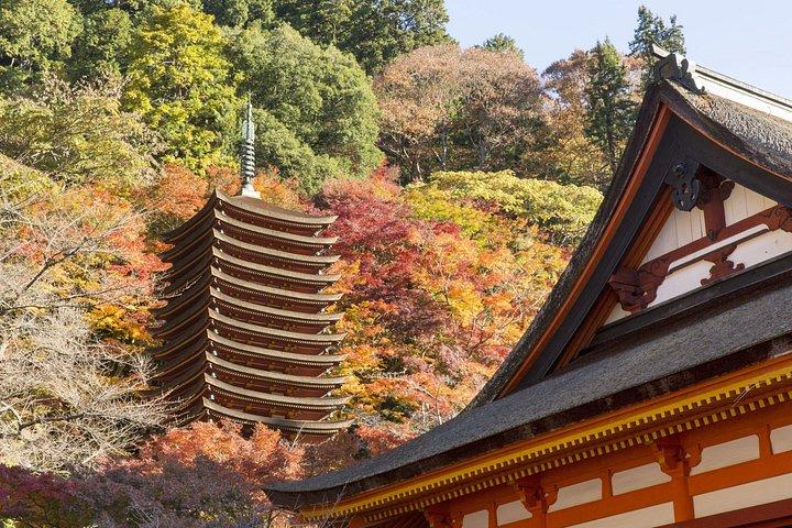 秋の奈良公園東大寺赤目の滝など大阪から