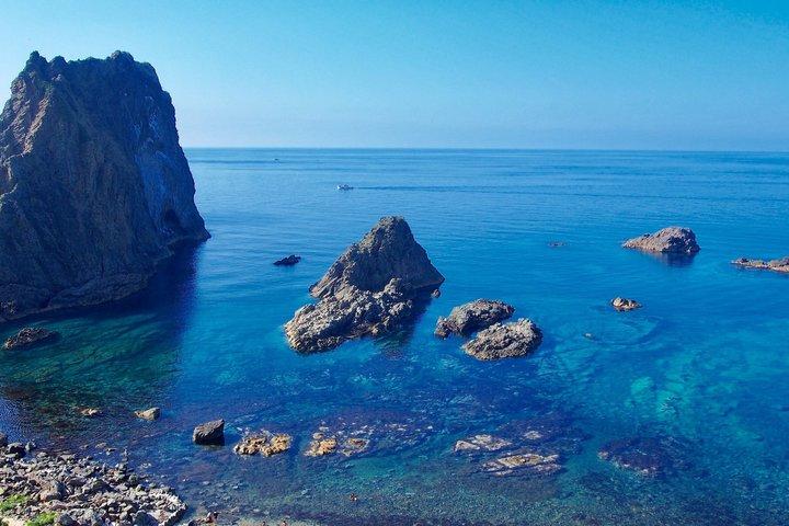 SkyExpress: Shakotan Peninsula Anpassad privat dagstur (upp till 8 passagerare)