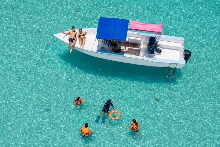 Private Cozumel snorkeling: Palancar, El Cielo & ceviche