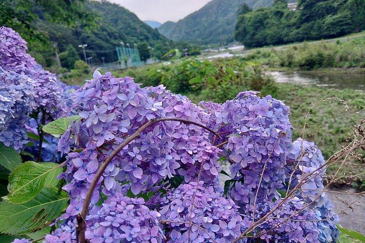 新宿ターミナル～田場山フレキシブル3日間農村日本ツアー