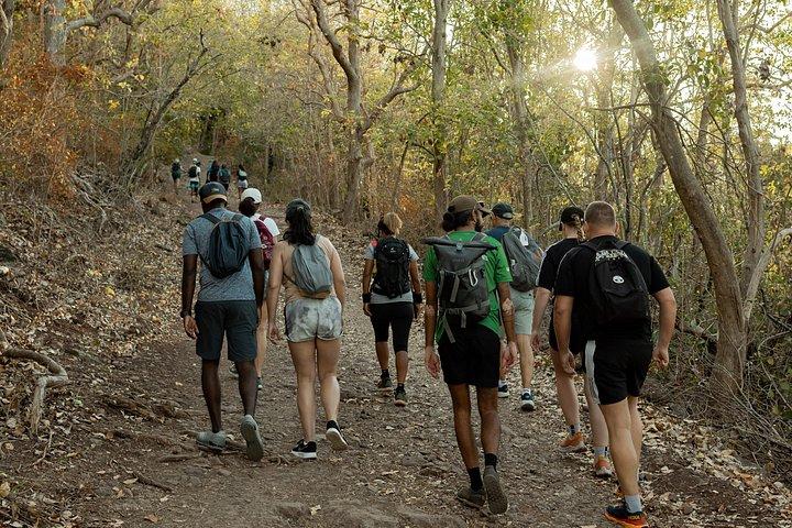 Hiking Le Morne Brabant