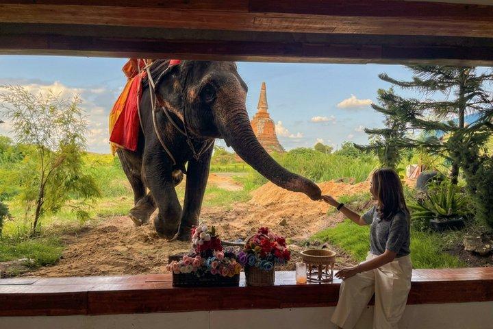 Ayutthaya UNESCO World Heritage Day Trip by Train from Bangkok