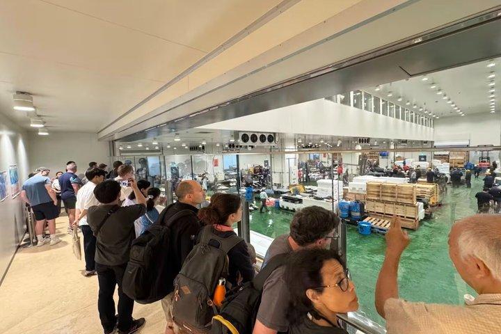 豊洲まぐろ競り見学と朝食 寿司台or弁当