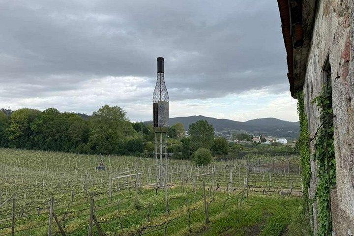 ポルト発:家族経営の邸宅でのヴィーニョ ヴェルデ ワイン ツアー (試飲付き)