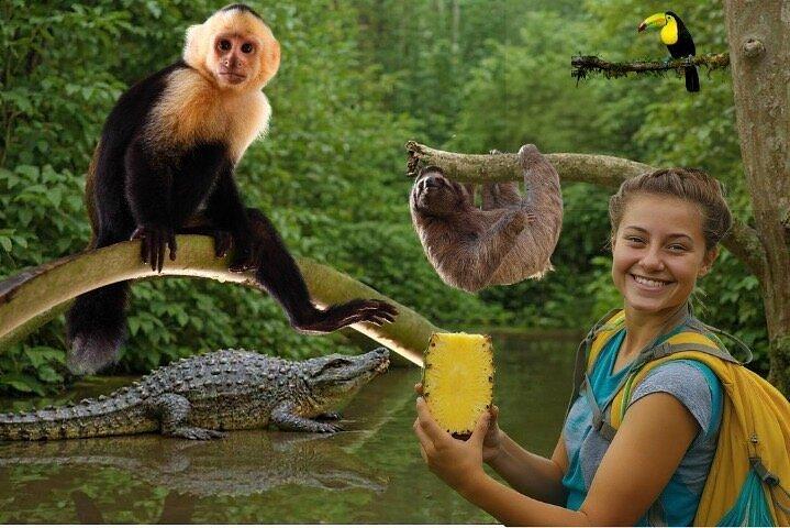 パナマ運河を巡る動物サファリとフルーツマーケット