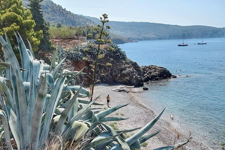 Private Speed Boat Experience: Hidden Bays & No Crowds