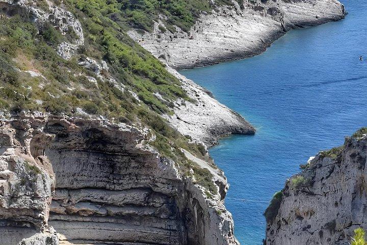 Private Speed Boat Experience: Hidden Bays & No Crowds