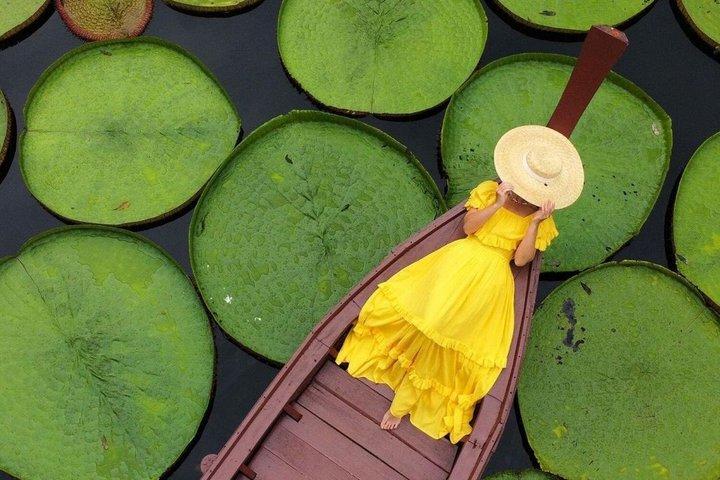 プーケット : 巨大な水ゆり池の写真、旧市街のオプションドローンビデオ