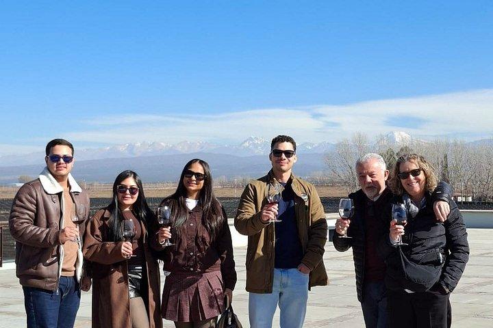 Norton Winery + 2 wineries and Olivicola