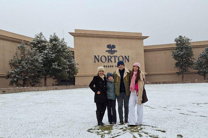 Norton Winery + 2 wineries and Olivicola