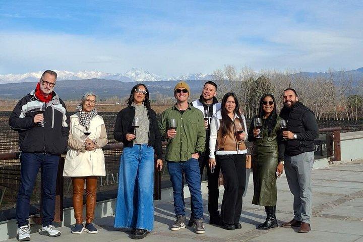 Norton Winery + 2 wineries and Olivicola