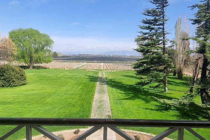 Norton Winery + 2 wineries and Olivicola