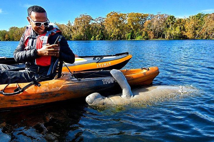 オーランド近郊小グループマナティーディスカバリーカヤックツアー