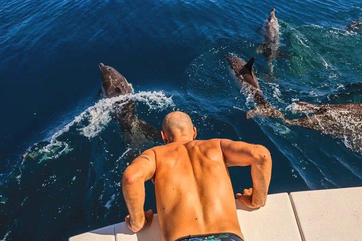 マニルバでのイルカウォッチング