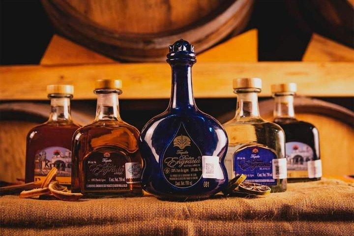 コスタ・マヤ テキーラ＆メスカル試飲と往復ポート送迎付き