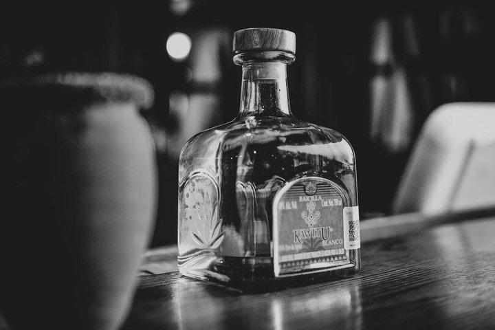 コスタ・マヤ テキーラ＆メスカル試飲と往復ポート送迎付き